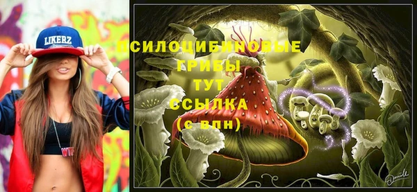 ешки Абаза
