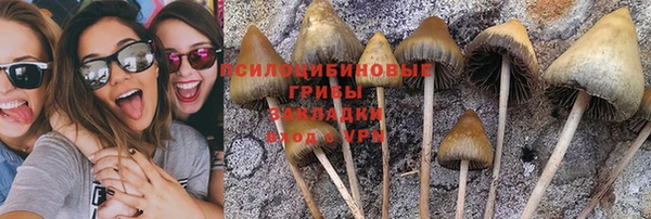 Альфа ПВП Алексеевка