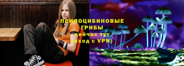 ешки Абаза